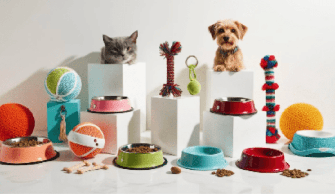 10 Must-Have Pet Accessories Every Pet Owner Needs - Aussie Pets Store