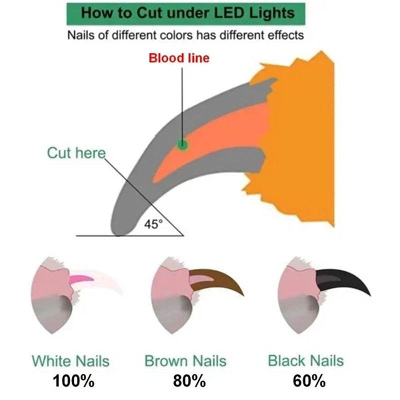 Pet Nail Clippers with LED Light – Safe & Precise Trimming! 🐾 - Aussie Pets Store