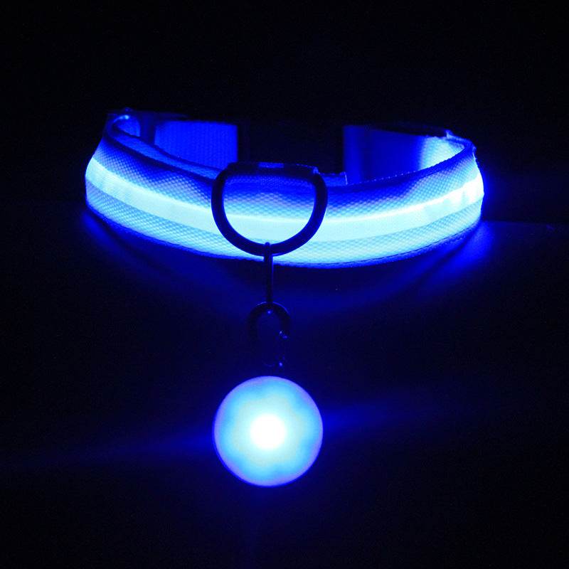 Luminous Fashion Dog Collar – Stylish, Safe, and Durable - Aussie Pets Store