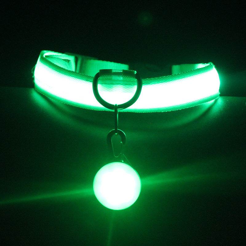 Luminous Fashion Dog Collar – Stylish, Safe, and Durable - Aussie Pets Store