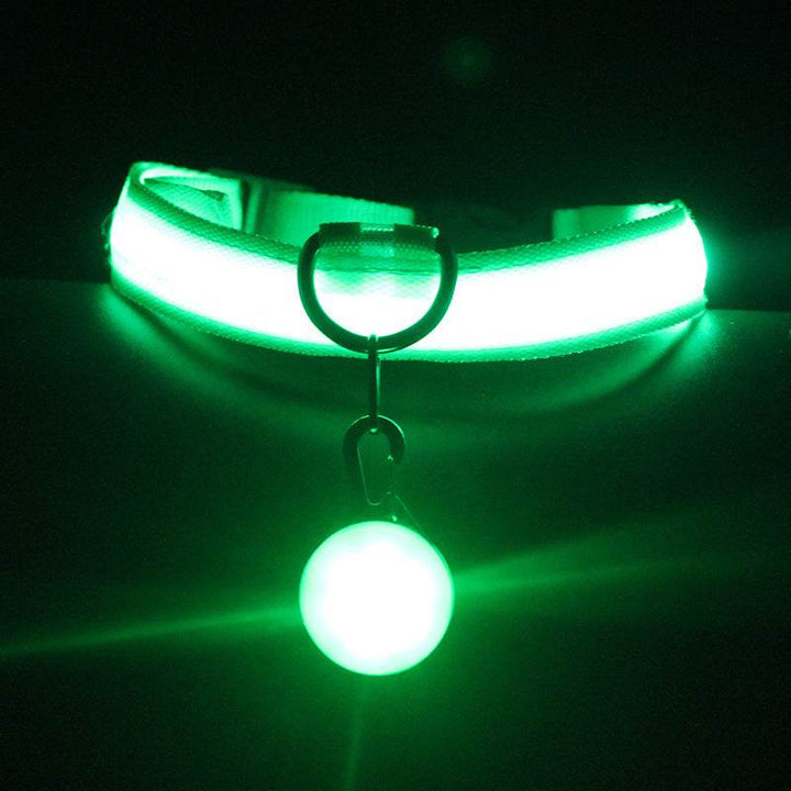 Luminous Fashion Dog Collar – Stylish, Safe, and Durable - Aussie Pets Store