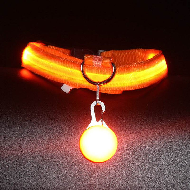Luminous Fashion Dog Collar – Stylish, Safe, and Durable - Aussie Pets Store