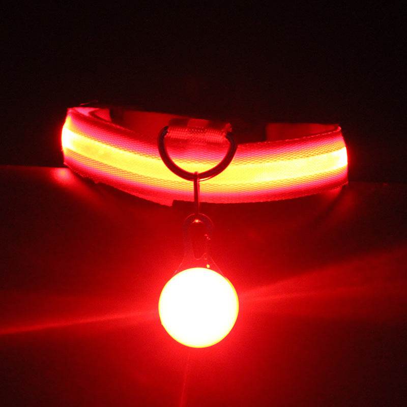 Luminous Fashion Dog Collar – Stylish, Safe, and Durable - Aussie Pets Store