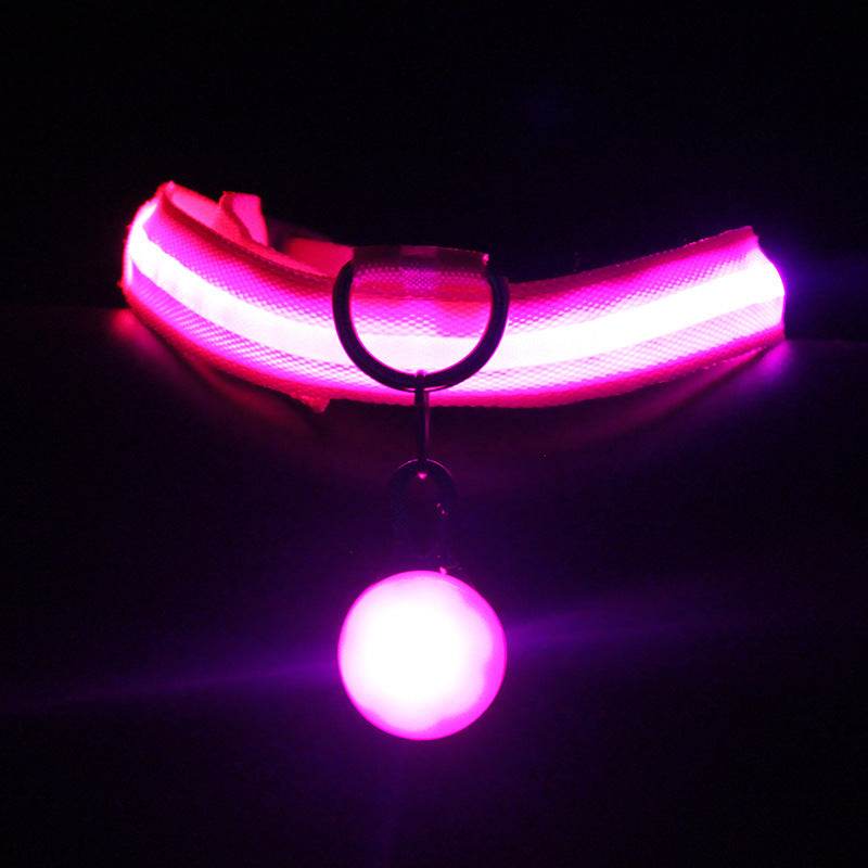 Luminous Fashion Dog Collar – Stylish, Safe, and Durable - Aussie Pets Store