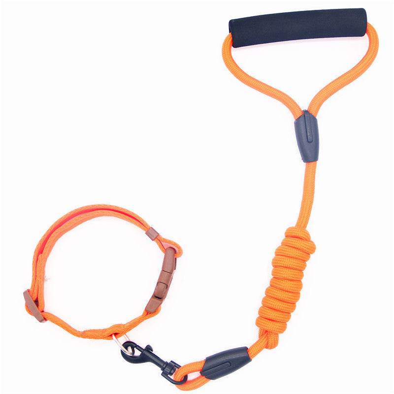 Durable & Stylish Dog Collar – Perfect for Everyday Use! - Aussie Pets Store