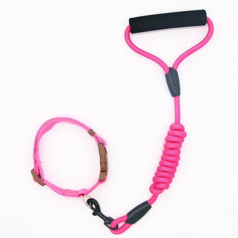 Durable & Stylish Dog Collar – Perfect for Everyday Use! - Aussie Pets Store