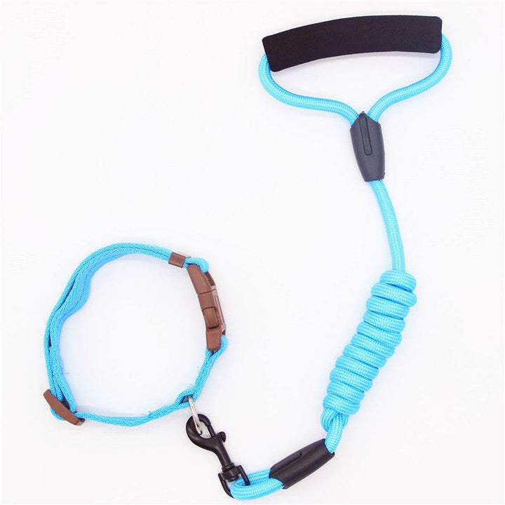 Durable & Stylish Dog Collar – Perfect for Everyday Use! - Aussie Pets Store