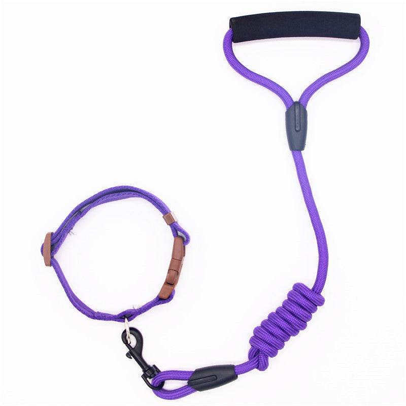 Durable & Stylish Dog Collar – Perfect for Everyday Use! - Aussie Pets Store