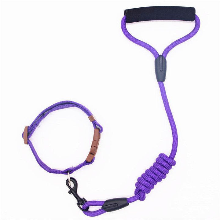 Durable & Stylish Dog Collar – Perfect for Everyday Use! - Aussie Pets Store