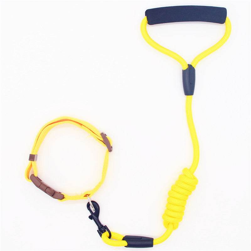 Durable & Stylish Dog Collar – Perfect for Everyday Use! - Aussie Pets Store