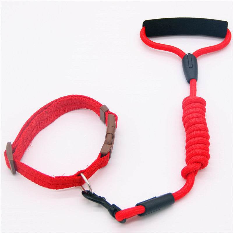 Durable & Stylish Dog Collar – Perfect for Everyday Use! - Aussie Pets Store