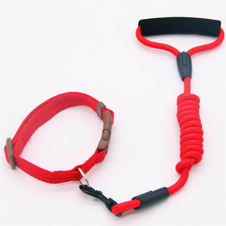 Durable & Stylish Dog Collar – Perfect for Everyday Use! - Aussie Pets Store
