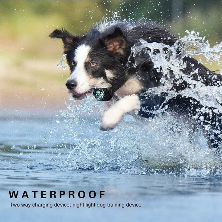 Remote Control Dog Training Device – Effortless Training with Precision - Aussie Pets Store