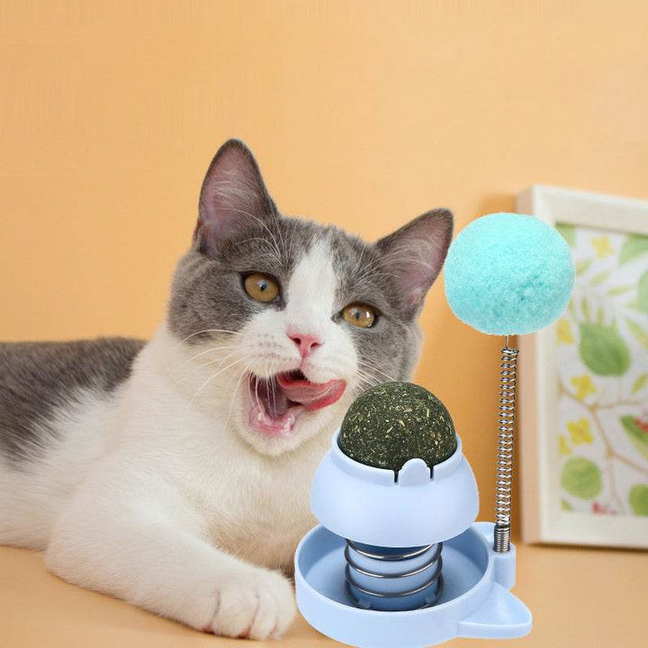 Lucky Cat Mint Ball – Fun, Relaxing & Teeth Cleaning! 🐱🎶 - Aussie Pets Store