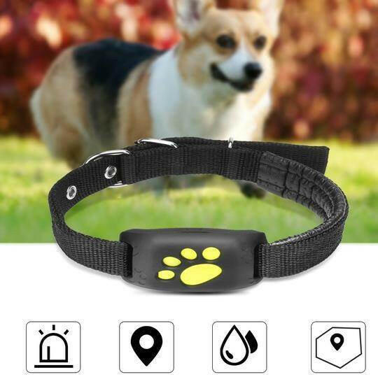 GPS Pet Tracker – Keep Your Pet Safe Anywhere! 🐶📍 - Aussie Pets Store