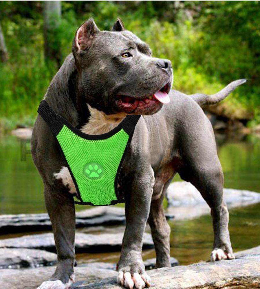 Breathable Mesh Dog Harness – Comfort & Safety for Your Pet - Aussie Pets Store