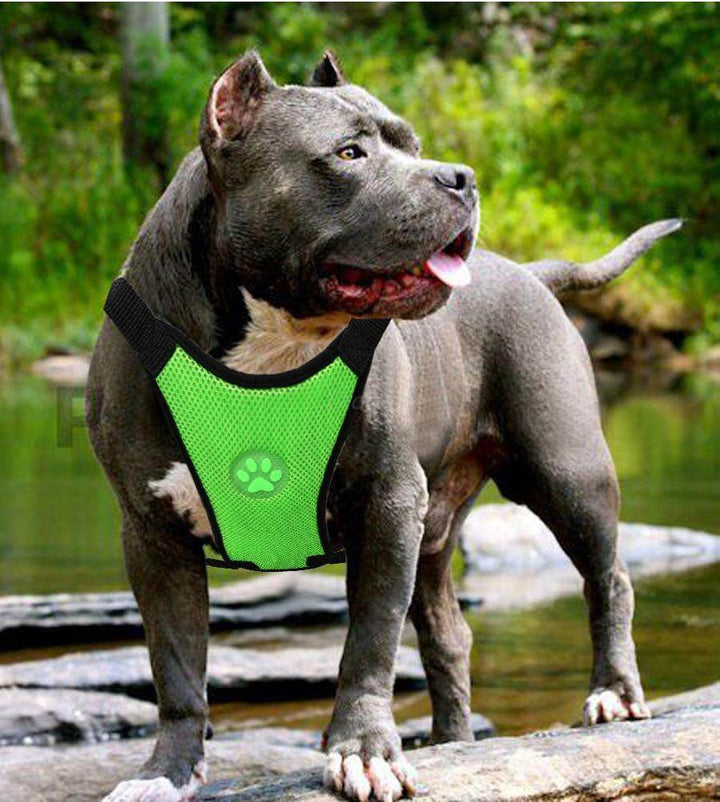 Breathable Mesh Dog Harness – Comfort & Safety for Your Pet - Aussie Pets Store