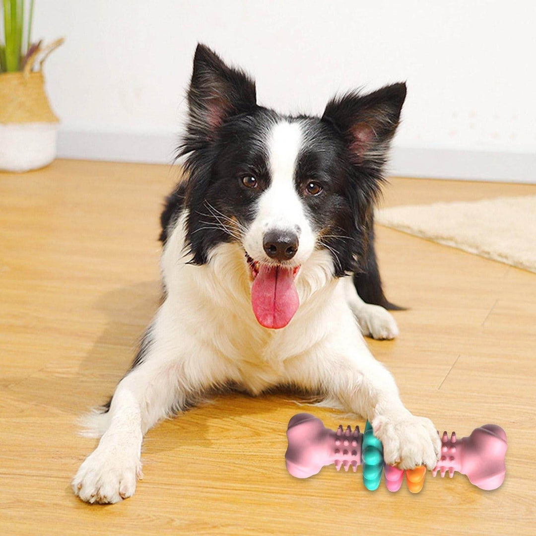 Indestructible Dog Bone Chew Toy – Tough, Fun & Teeth-Cleaning! - Aussie Pets Store