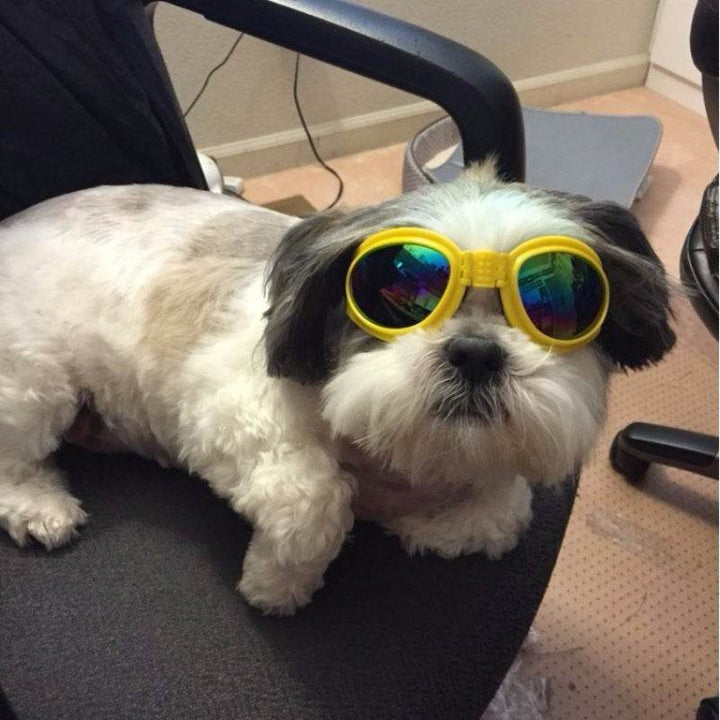 Dog Sunglasses – UV Protection & Stylish Look - Aussie Pets Store