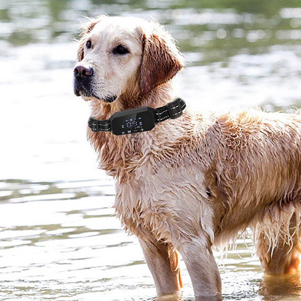 Pet Wireless GPS Electronic Fence & Dog Trainer 🐶🚀 - Aussie Pets Store