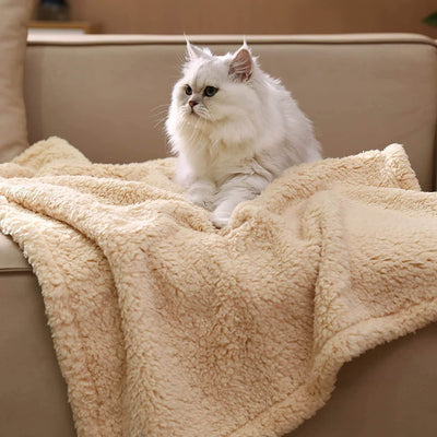 Soft & Cozy Shu Cotton Velvet Pet Blanket – Warm & Comfortable! 🐾 - Aussie Pets Store