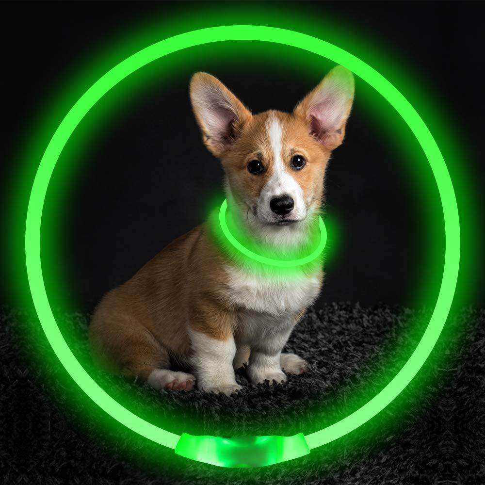 🌟 USB Rechargeable Flashing Pet Safety Collar – Glow in the Dark! - Aussie Pets Store