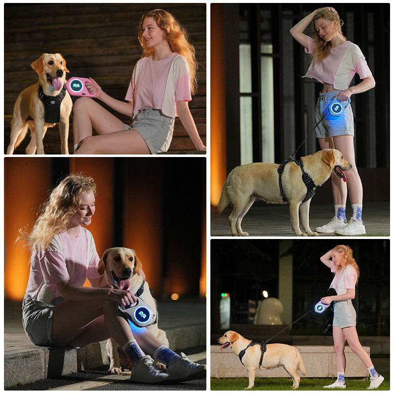 New LED Light Retractable Dog Leash – Walk in Style & Safety! - Aussie Pets Store