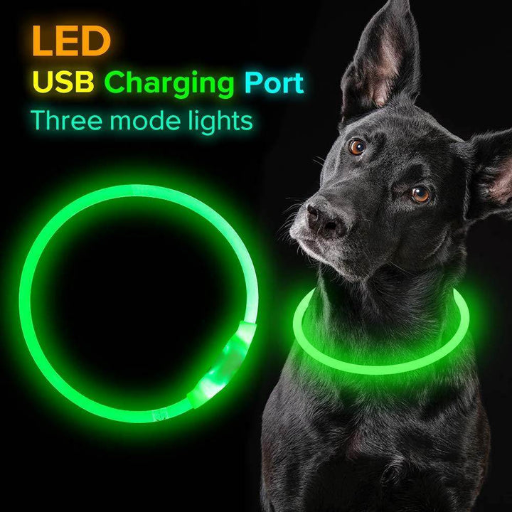 🌟 USB Rechargeable Flashing Pet Safety Collar – Glow in the Dark! - Aussie Pets Store