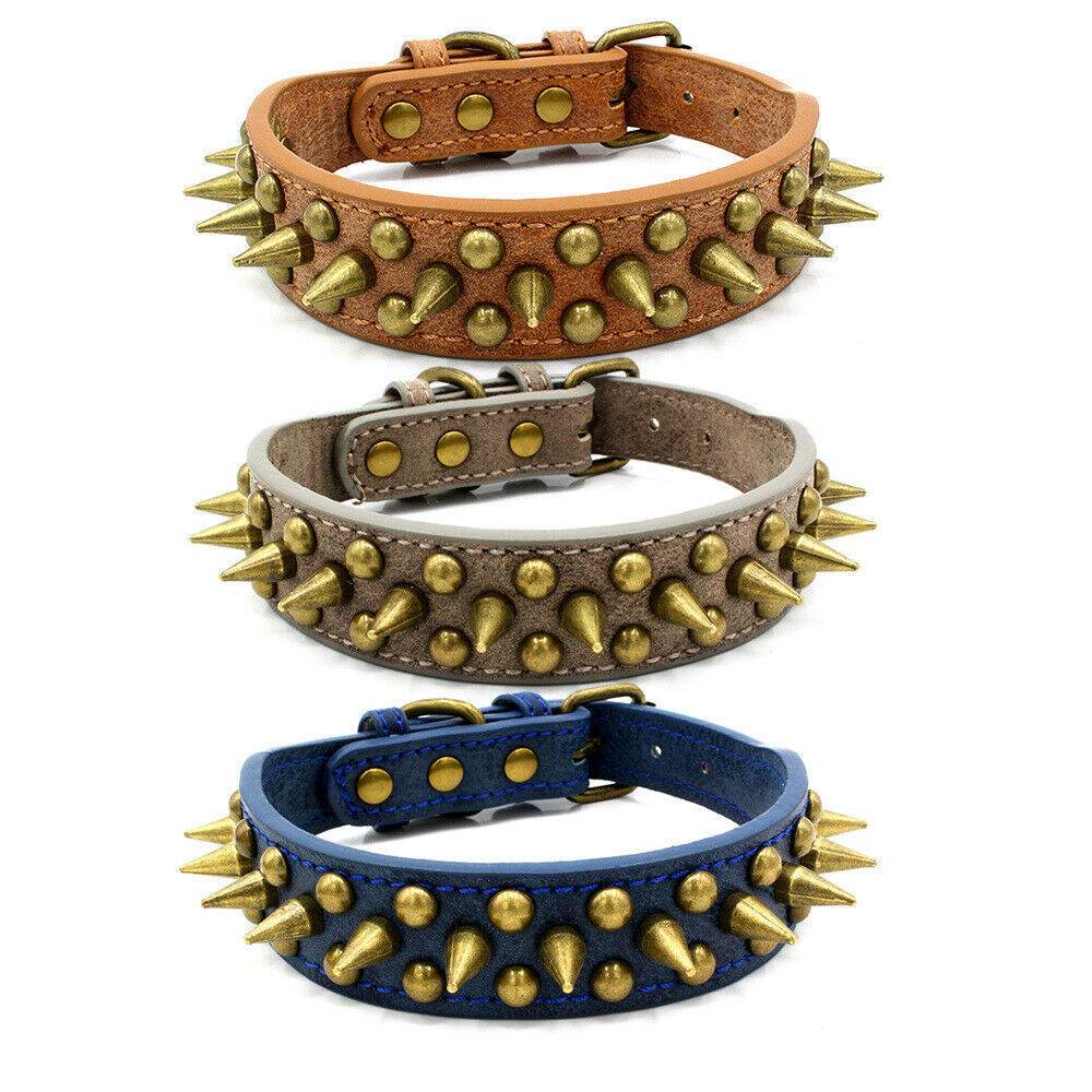 Retro Studded Spiked Rivet Dog Collar – Perfect for Your Pit Bull (S-XL) - Aussie Pets Store