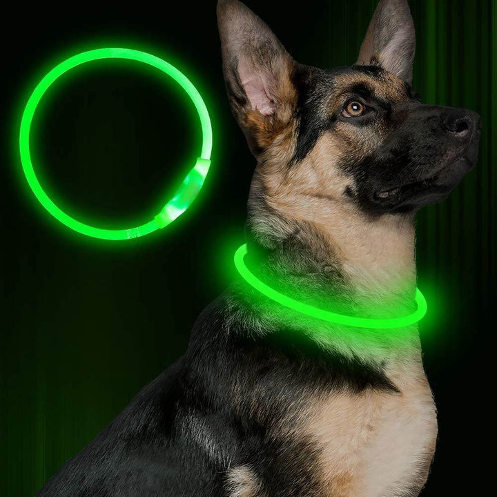 🌟 USB Rechargeable Flashing Pet Safety Collar – Glow in the Dark! - Aussie Pets Store