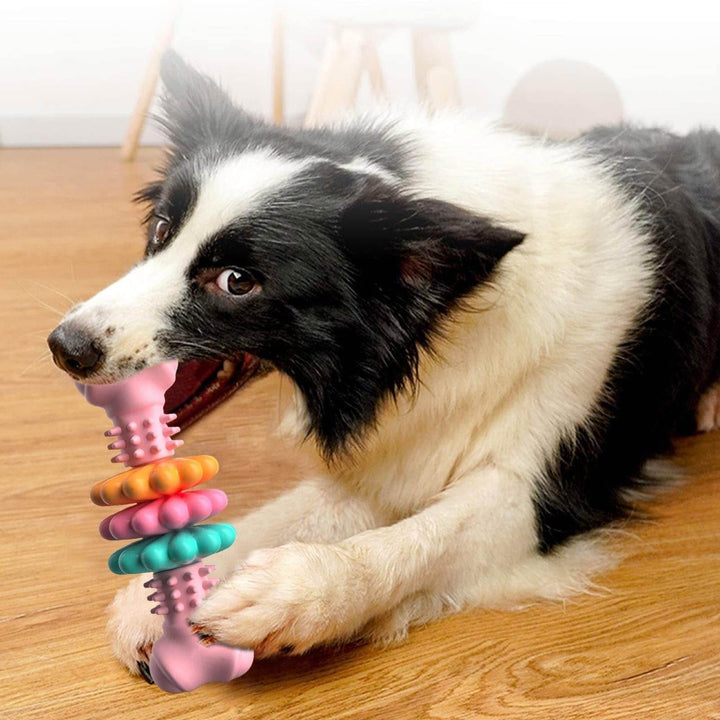 Indestructible Dog Bone Chew Toy – Tough, Fun & Teeth-Cleaning! - Aussie Pets Store