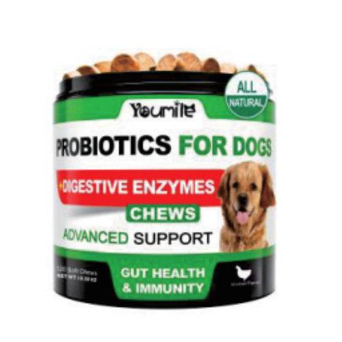 Probiotics Chewable Supplement – Gut Health Support for Pets! - Aussie Pets Store