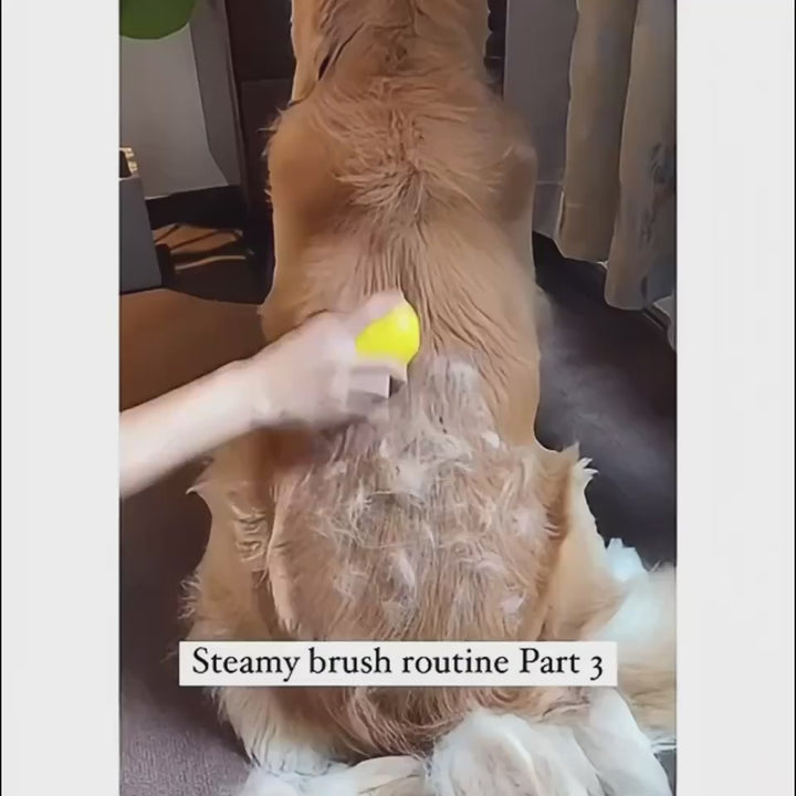 3-in-1 Pet Steam Brush – Groom, Clean &  Massage Your Pet in One Go! 🐾.