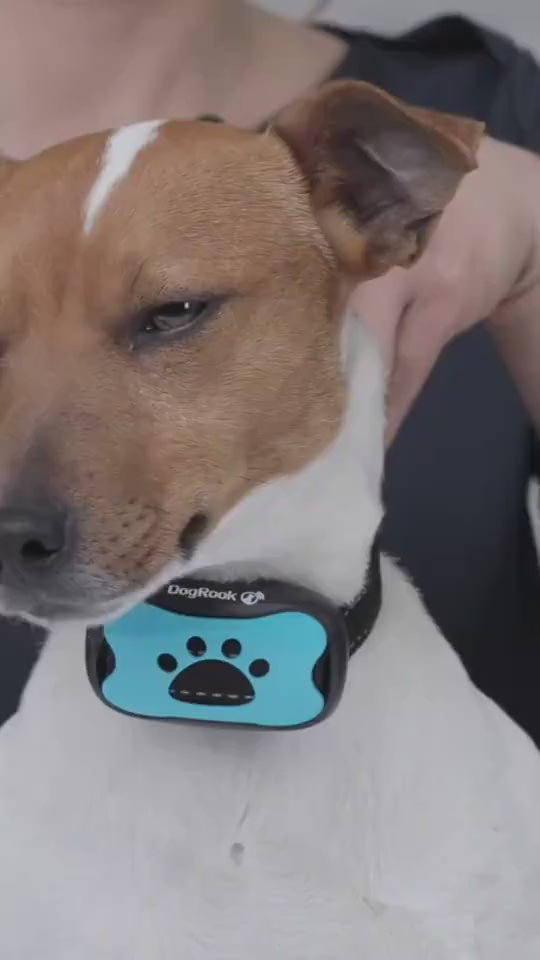 Rechargeable Waterproof Dog Collar 🐕.