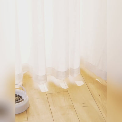 Pets Bowl